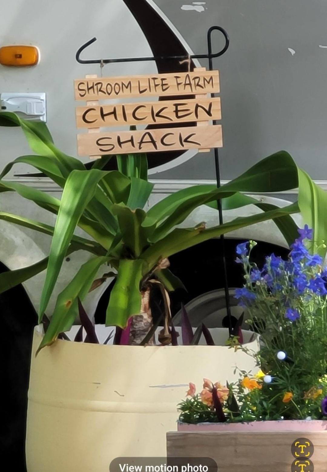 Shroom Life Farm Chicken Shack North Fort Myers Εξωτερικό φωτογραφία
